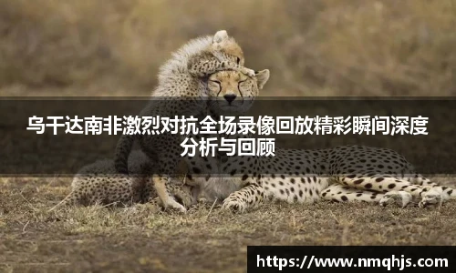 ld乐动乌干达南非激烈对抗全场录像回放精彩瞬间深度分析与回顾